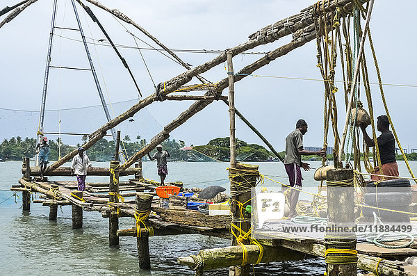 'Fishermen fishing with chinese fishing nets; Kochi  Ernakulam district  Kerala  India'