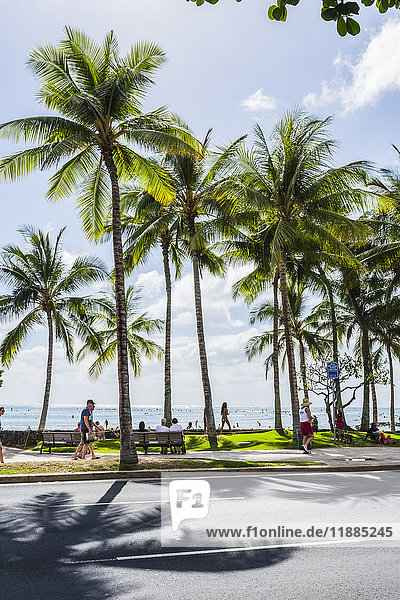 'Tourists walking along the street with palm trees and a view of the ocean in the background; Honolulu  Oahu  Hawaii  United States of America'