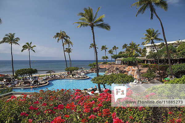 Bouganvilla Blumen  Grand Hyatt; Kaanapali  Maui  Hawaii  Vereinigte Staaten von Amerika'.