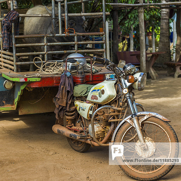 Ein mit Vieh beladener Wagen ist an ein Motorrad gekoppelt; Preah Dak  Provinz Siem Reap  Kambodscha