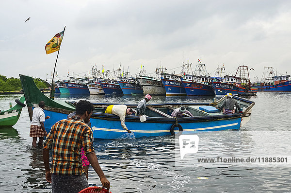 'Fishermen and colourful fishing boats; Kadappuram  Kerala  India'