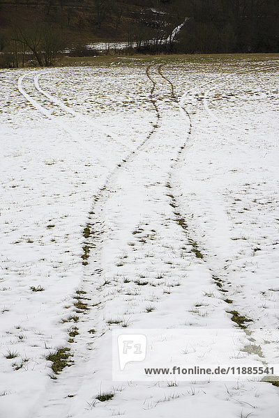 Reifenspuren auf schneebedecktem Feld