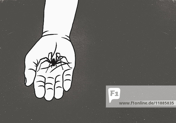 Beschnittenes Bild des Mannes  der die Spinne vor grauem Hintergrund hält.