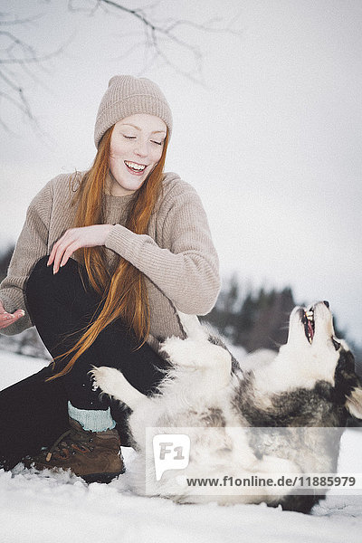 Cheerful young woman playing with Siberian Husky on snowy field