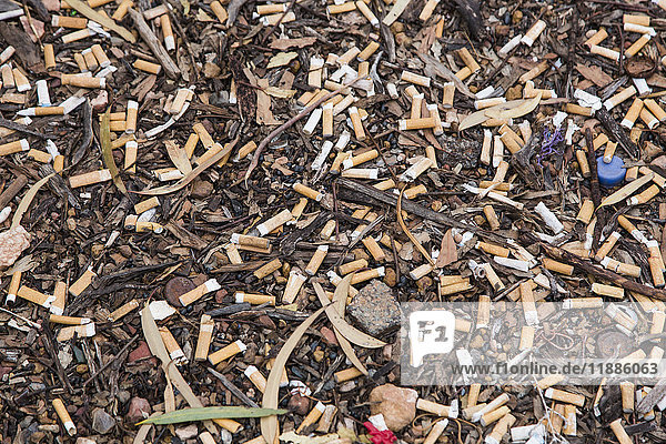 High angle view of cigarette butts on ground