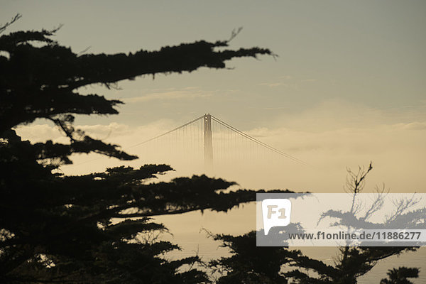 View of Golden Gate Bridge surrounded by fog against sky  San Francisco  California  USA