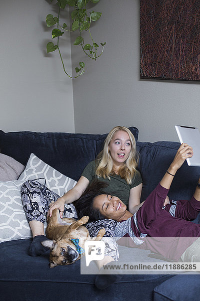 Happy woman taking selfie with girlfriend and dog lying on sofa at home