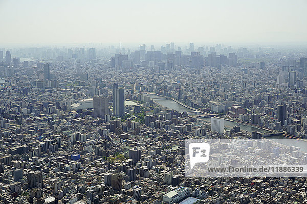Luftaufnahme des überfüllten Stadtbildes am sonnigen Tag  Tokio  Japan