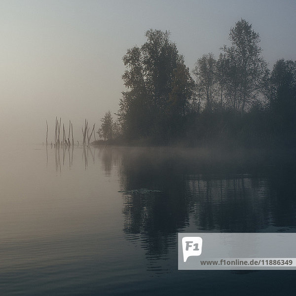Panoramablick auf den ruhigen See bei Nebelwetter