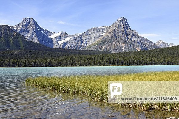 Howse Peak und Mount Chephren vom Waterfowl Lake aus  Banff Nationalpark  Alberta  Rocky Mountains  Kanada  Nordamerika