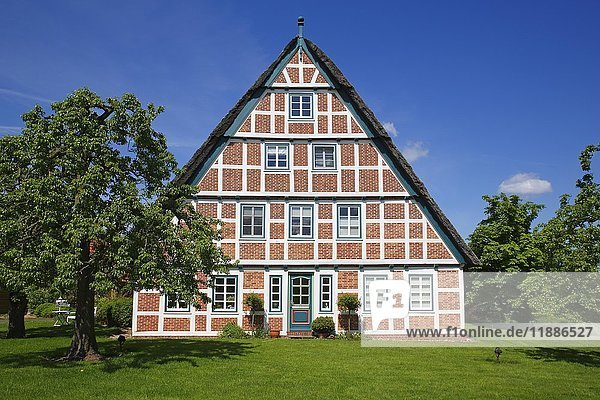 Historisches reetgedecktes Fachwerkhaus  Altländer Bauernhaus  Jork  Altes Land  Niedersachsen  Deutschland  Europa