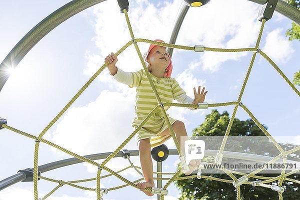Toddler on climbing frame at a playground  Germany  Europe