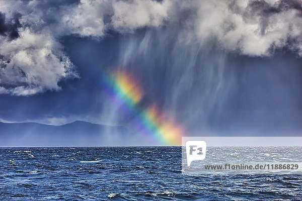 Regenbogen über dem Meer  Seltjarnarnes  Seltjarnarnesi  Insel