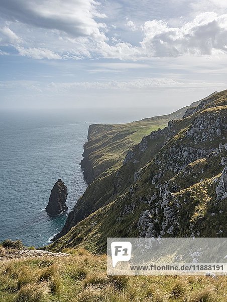 Klippen und karge Landschaft  Meer  Sandymount  Otago  Südinsel  Neuseeland  Ozeanien