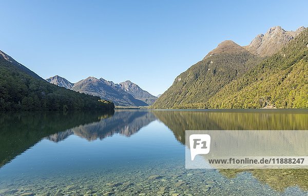 Lake Gunn  Spiegelung im See  Fiordland National Park  Southland  Südinsel  Neuseeland  Ozeanien