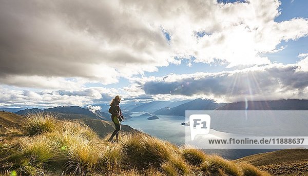 Female hiker looking at lake  Lake Wanaka and mountain landscape  Isthmus Peak  Otago  South Island  New Zealand  Oceania