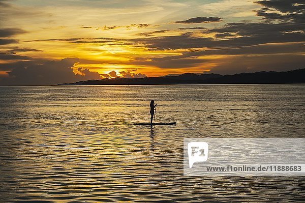 Woman on standup paddle board in the sea at sunset  Raja-Ampat  Kri Island  Dampier Strait  Western New Guinea  Indonesia  Asia