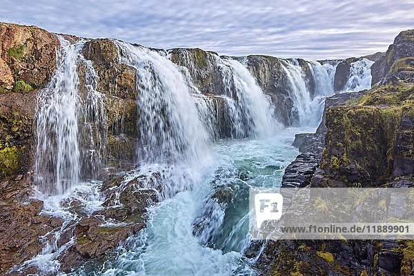Kolufossar-Wasserfall  Laugarbakki  Hvammstanga  Island  Europa