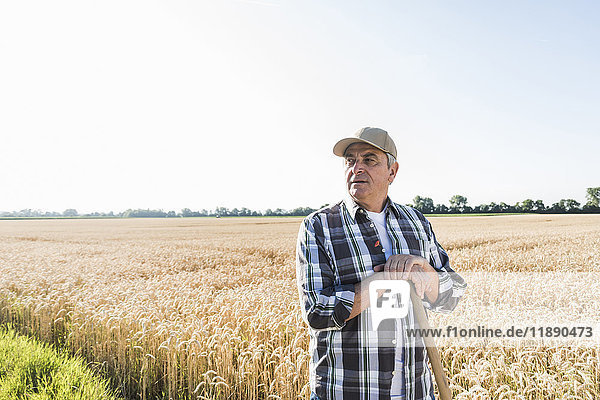 Senior farmer standing in front of wheat field watching something