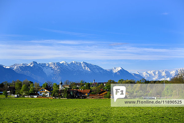 Deutschland  Bayern  Oberbayern  Blick nach Spatzenhausen mit Alpen im Hintergrund