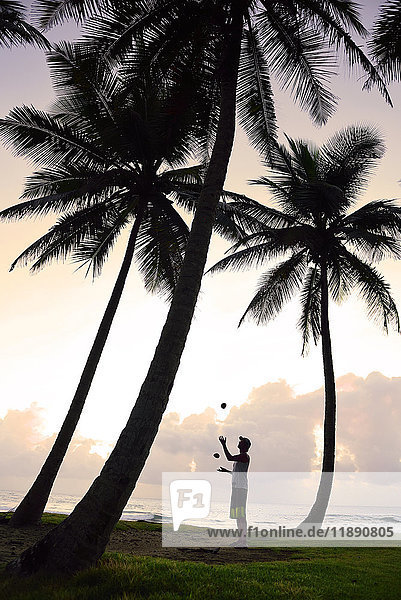 Dominikanische Rebublik  Mann jongliert zwischen Palmen bei Sonnenuntergang