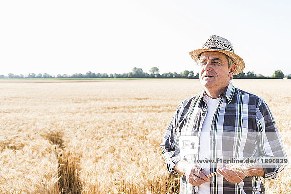 Porträt eines nachdenklichen älteren Bauern auf einem Feld