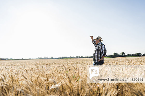 Senior farmer standing in wheat field looking at distance