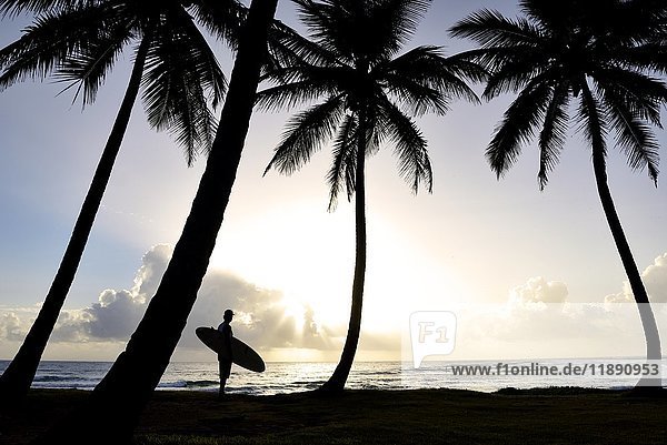 Dominikanische Rebublik  Silhouette von Palmen und Mann mit Surfbrett bei Sonnenuntergang