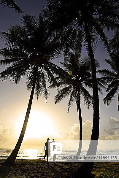 Dominikanische Rebublik  Silhouette von Palmen und Mann mit Surfbrett bei Sonnenuntergang
