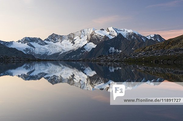Der Hochfeiler spiegelt sich im Friesenbergsee im Naturpark Hochgebirge in den Zillertaler Alpen  Österreich  Europa