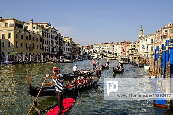 Canal Grande  gondolas with tourists in front of Rialto Bridge  Venice  Veneto  Italy  Europe