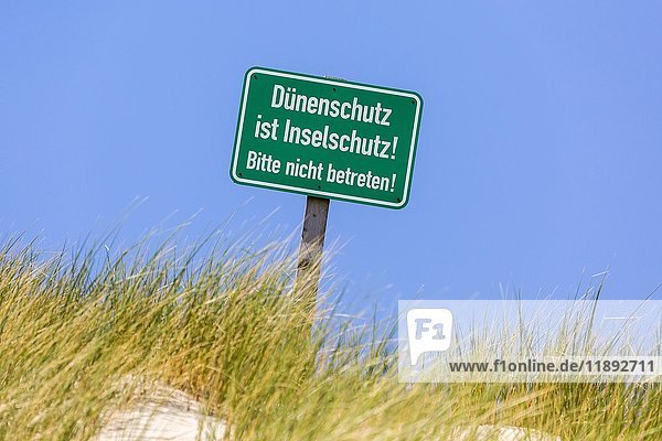 Hinweisschild in einer Düne Dünenschutz ist Inselschutz Amrum Nordfriesische Inseln Schleswig-Holstein Deutschland Europa