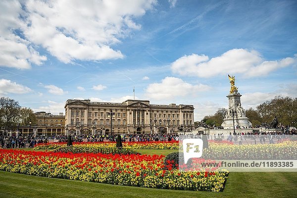 Buckingham Palace und Victoria Memorial  Westminster  London  England  Vereinigtes Königreich  Europa