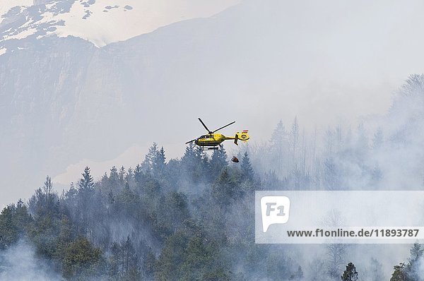 Waldbrand im Karwendelgebirge bei Innsbruck  Tirol  Österreich  Europa