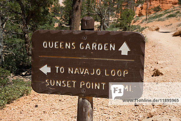 USA  Utah  Bryce Canyon National Park. Das Hauptmerkmal des Parks ist der Bryce Canyon  der trotz seines Namens kein Canyon ist  sondern eine Ansammlung von riesigen natürlichen Amphitheatern entlang der Ostseite des Paunsaugunt Plateaus