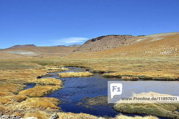 Argentinien  Region Salta  Labyrinthwüste