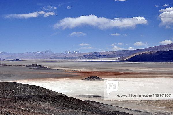 Argentinien  Region Salta  Wüste Puna