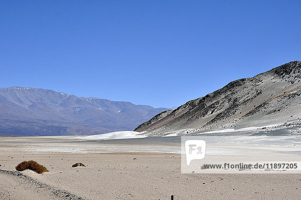 Argentinien  Region Salta  Wüste Puna