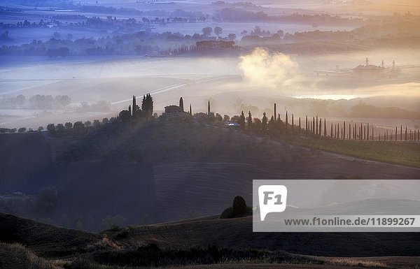 Tuscan landscape with cypress trees and farmstead at sunrise  dawn  San Quirico d'Orcia  Val d'Orcia  Tuscany  Italy  Europe