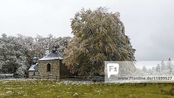 La chapelle Fischbach  Hohes Venn  Die Ardennen  Belgien  Europa