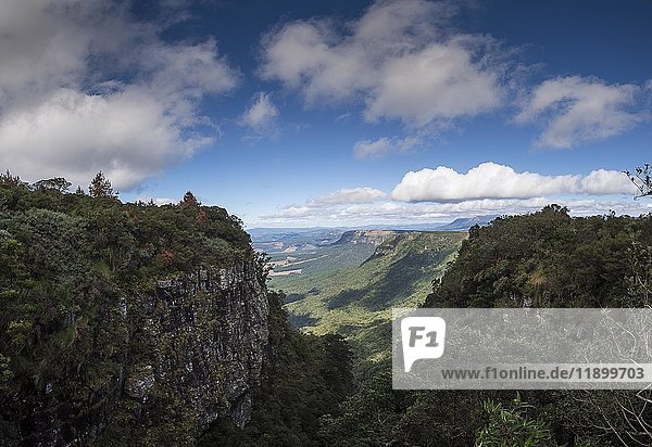 Gods Window  Panorama Route  Mpumalanga  South Africa  Africa