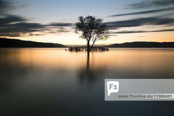 Evening atmosphere with sunset with clouds at Lake Constance  at the Klausenhorn  Dingelsdorf  Baden-Württemberg  Germany  Europe
