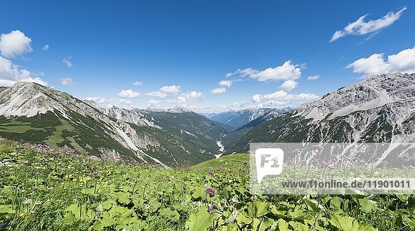 Allgäuer Alpen  Blick in ein Tal  Bad Hindelang  Allgäu  Bayern  Deutschland  Europa