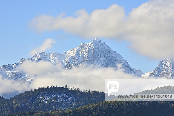 Schneebedeckte Tannheimer Berge  gesehen von Schwangau  Allgäu  Bayern  Deutschland  Europa