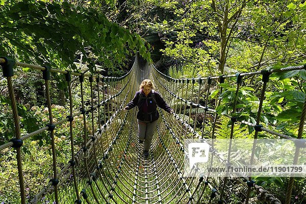 Frau auf der Burma-Hängebrücke im Dschungel  The Lost Gardens of Heligan  in der Nähe von St Austell  Cornwall  England  Vereinigtes Königreich  Europa