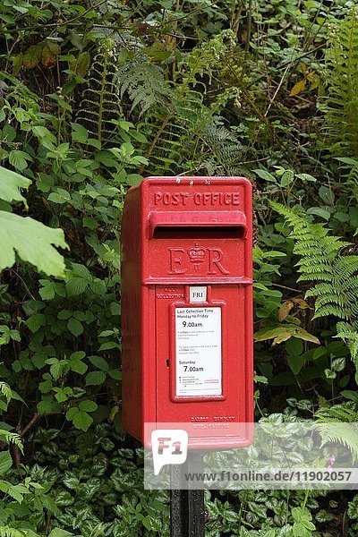 Roter Briefkasten  Port Navas bei Constantine  Cornwall  England  Vereinigtes Königreich  Europa