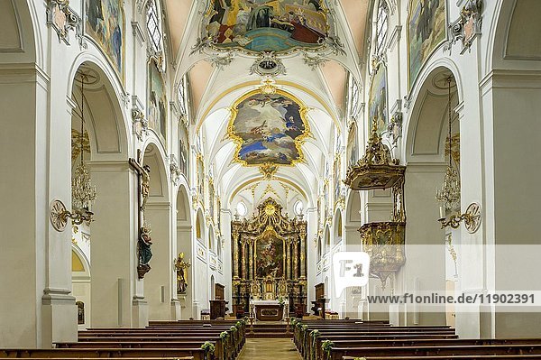 Nave with pulpit and choir  Basilica of the Holy Cross  Cloister Scheyern  Benedictine abbey  district Pfaffenhofen an der Ilm  Upper Bavaria  Bavaria  Germany  Europe
