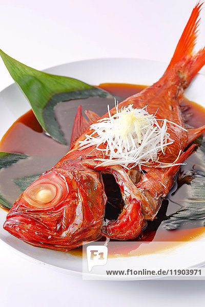 Red Snapper