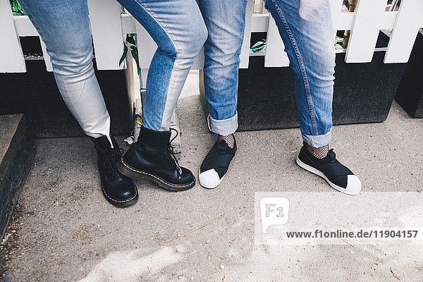 Niedriger Anteil weiblicher Freunde  die Jeans tragen  während sie am Zaun stehen.