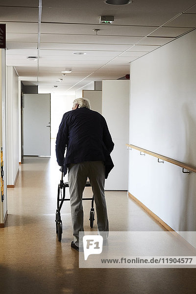 Durchgehende Rückansicht des älteren Mannes mit Rollator im Flur des Krankenhauses